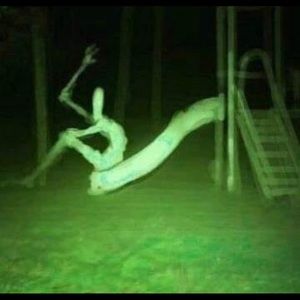 Meet your Posher, Jake